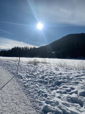 Haus Anna Lejlighed Seefeld in Tirol Eksteriør billede